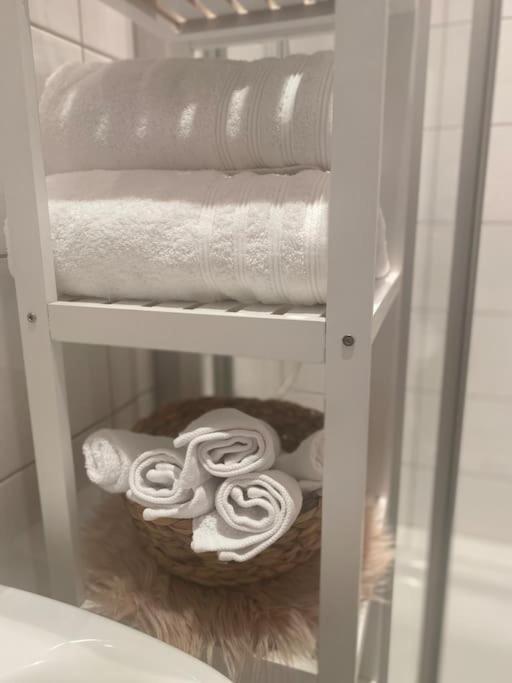 Altbau-Oase Der Eleganz: Stadtnaher Komfort Pur ヴィースバーデン エクステリア 写真