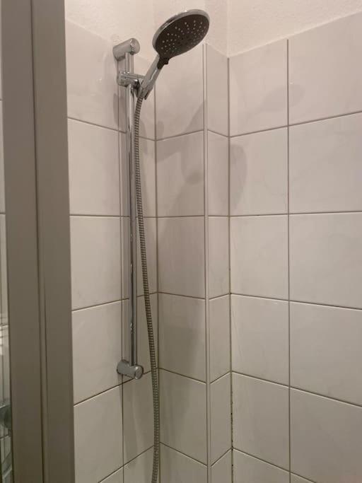 Altbau-Oase Der Eleganz: Stadtnaher Komfort Pur ヴィースバーデン エクステリア 写真